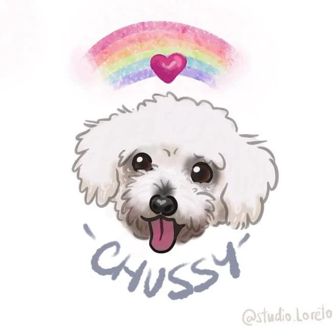 Illustration of a happy white fluffy dog with a rainbow